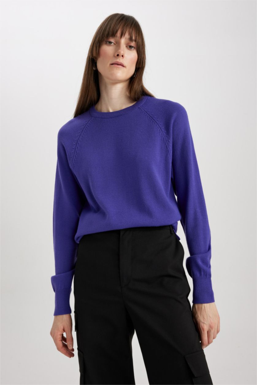 WOMAN Purple Regular Fit Crew Neck Pullover