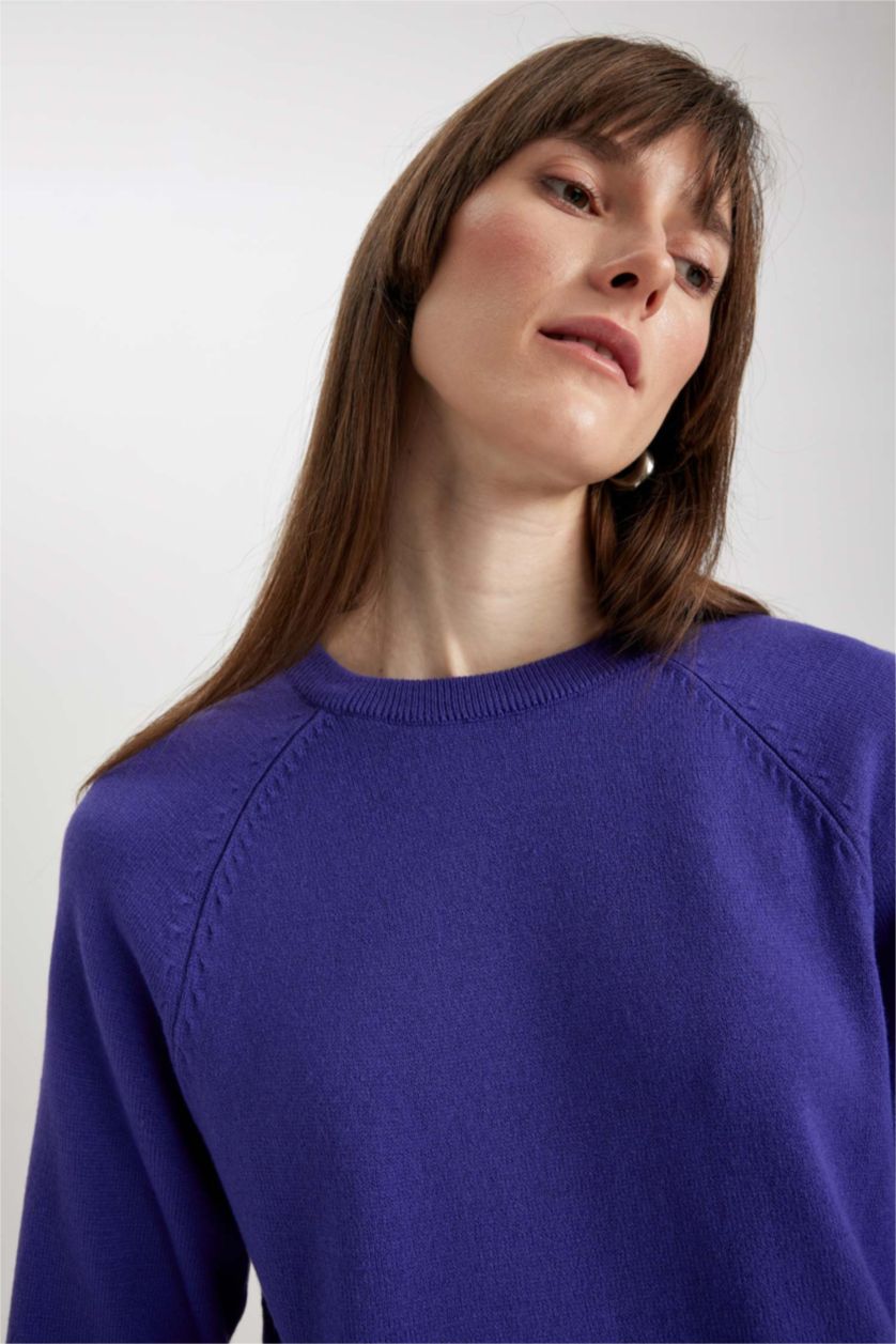 WOMAN Purple Regular Fit Crew Neck Pullover