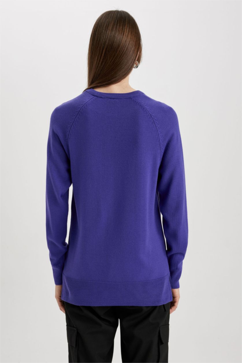 WOMAN Purple Regular Fit Crew Neck Pullover