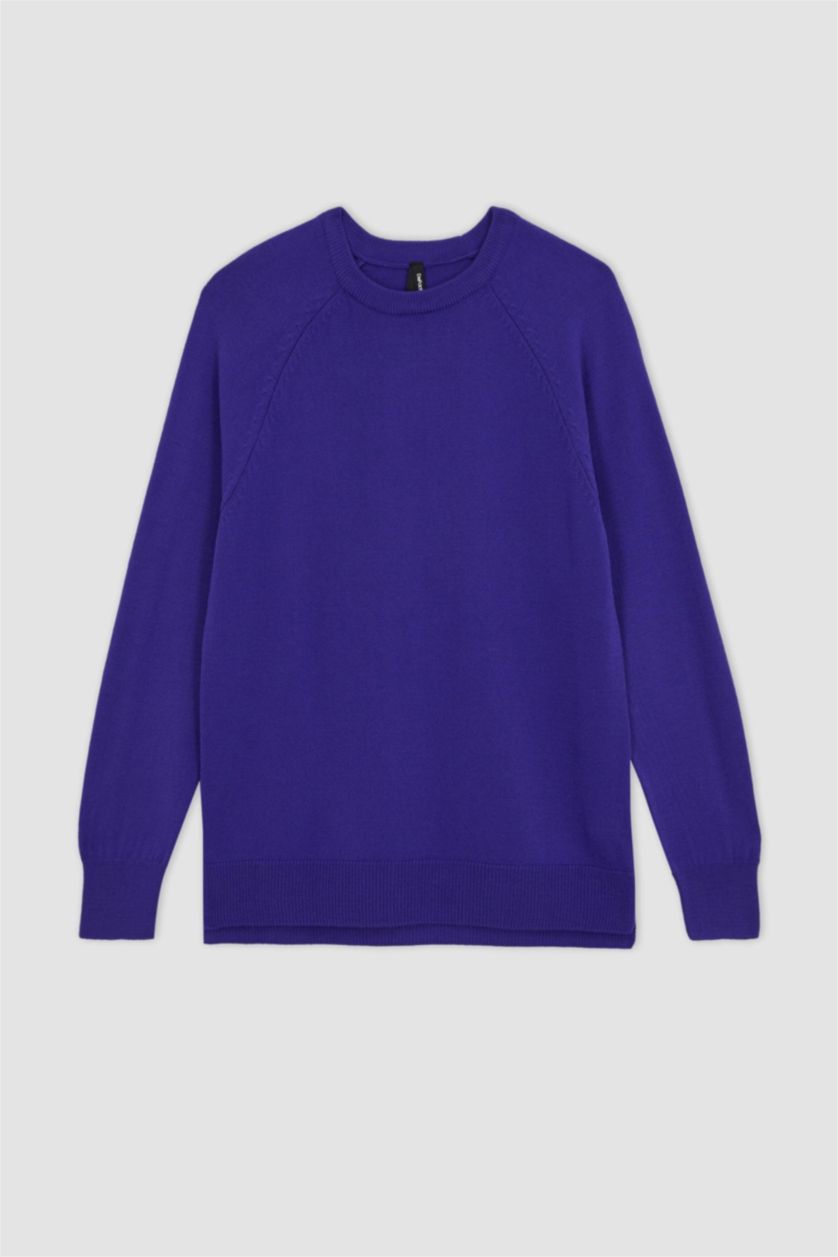 WOMAN Purple Regular Fit Crew Neck Pullover