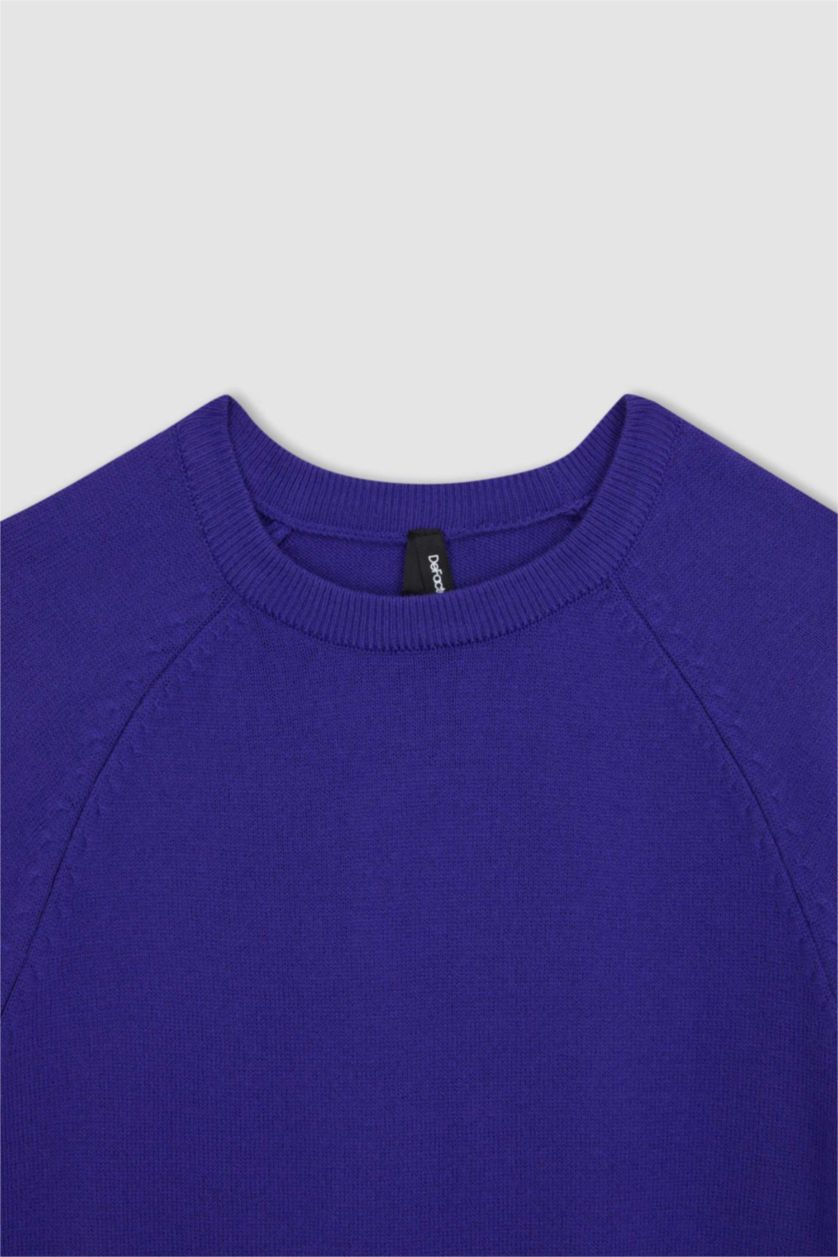 WOMAN Purple Regular Fit Crew Neck Pullover