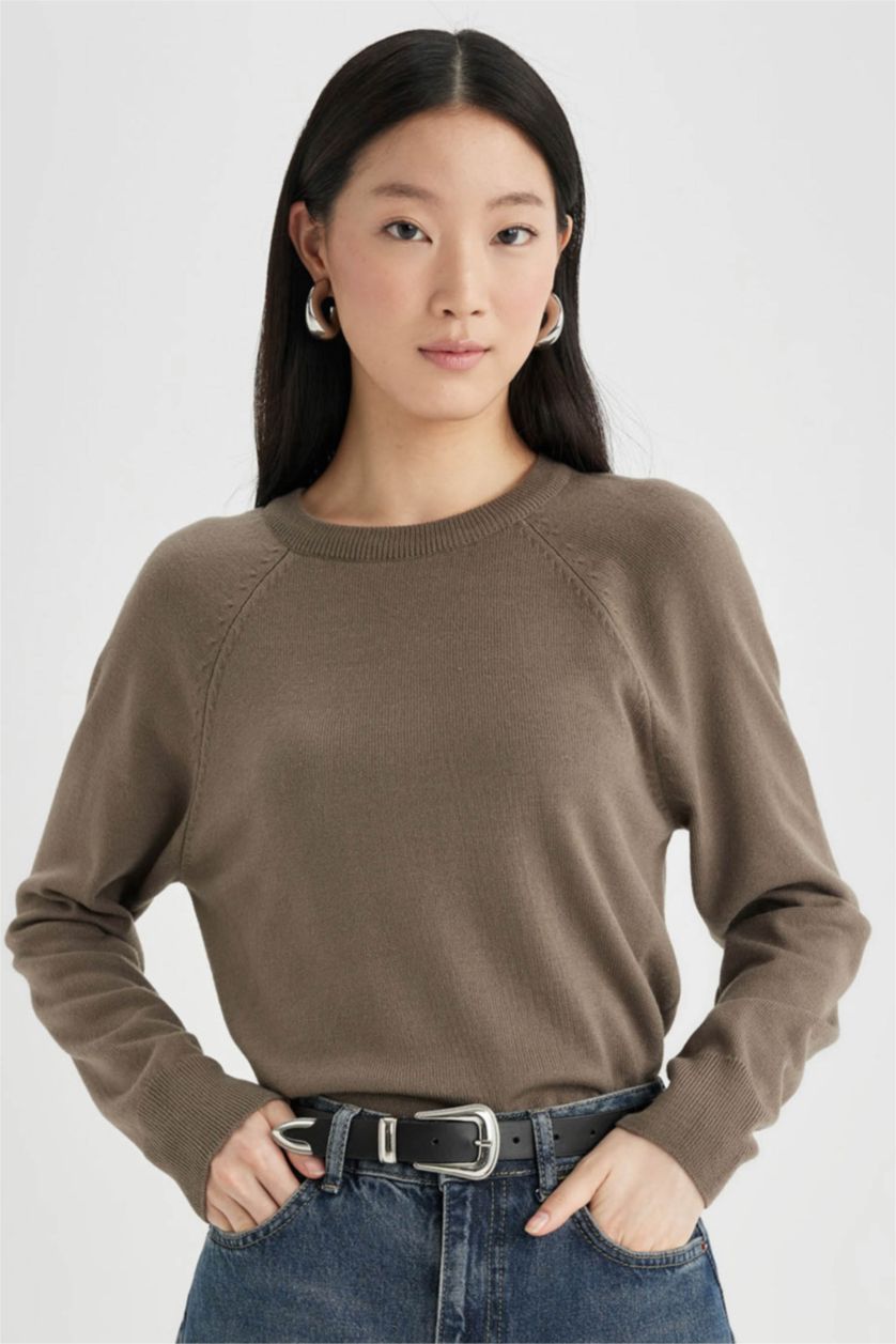 WOMAN Teak Regular Fit Crew Neck Pullover
