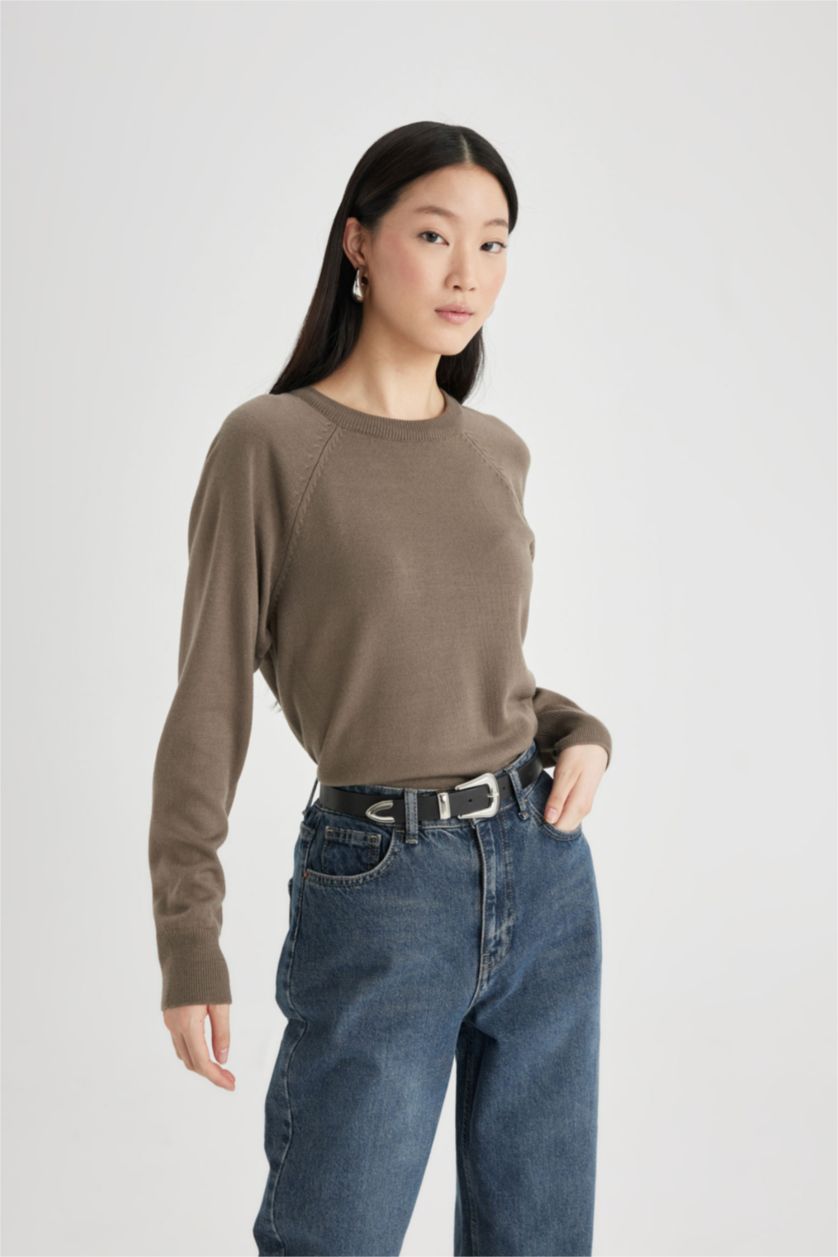 WOMAN Teak Regular Fit Crew Neck Pullover