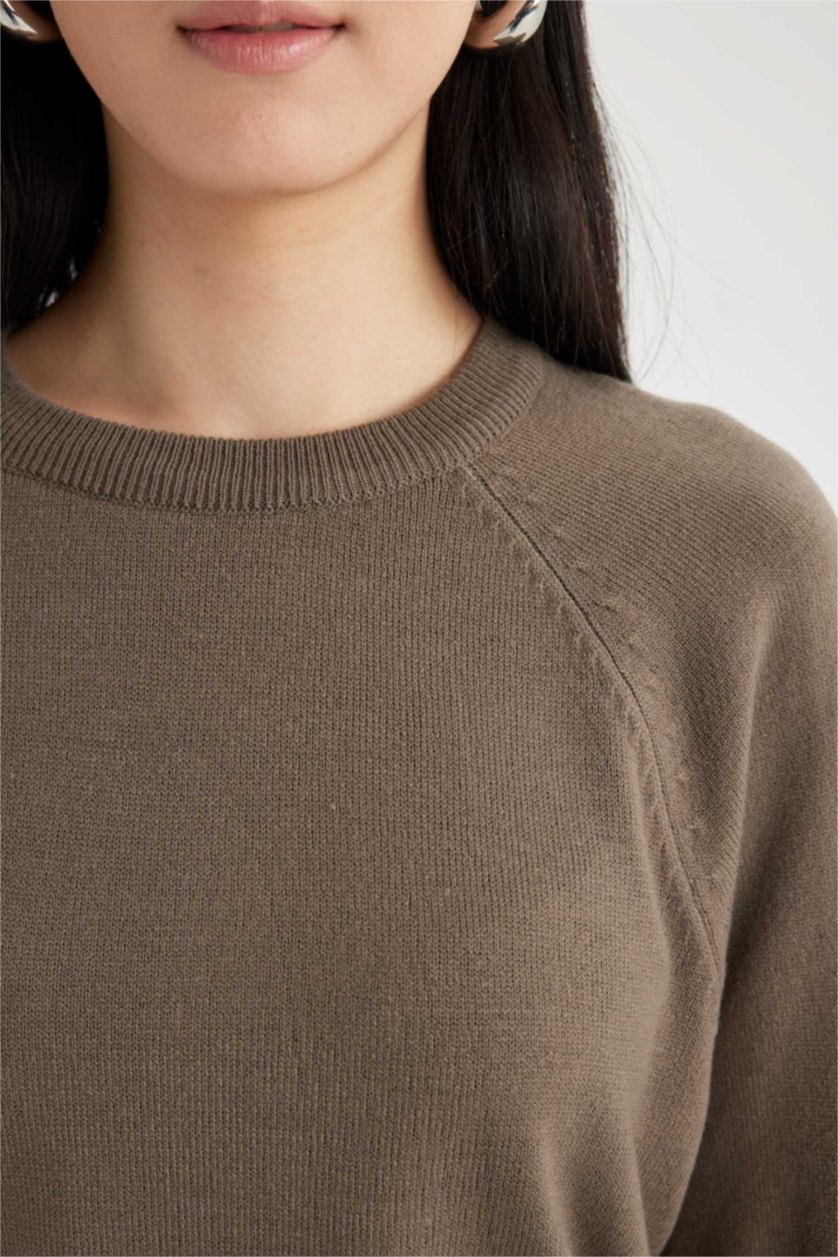 WOMAN Teak Regular Fit Crew Neck Pullover