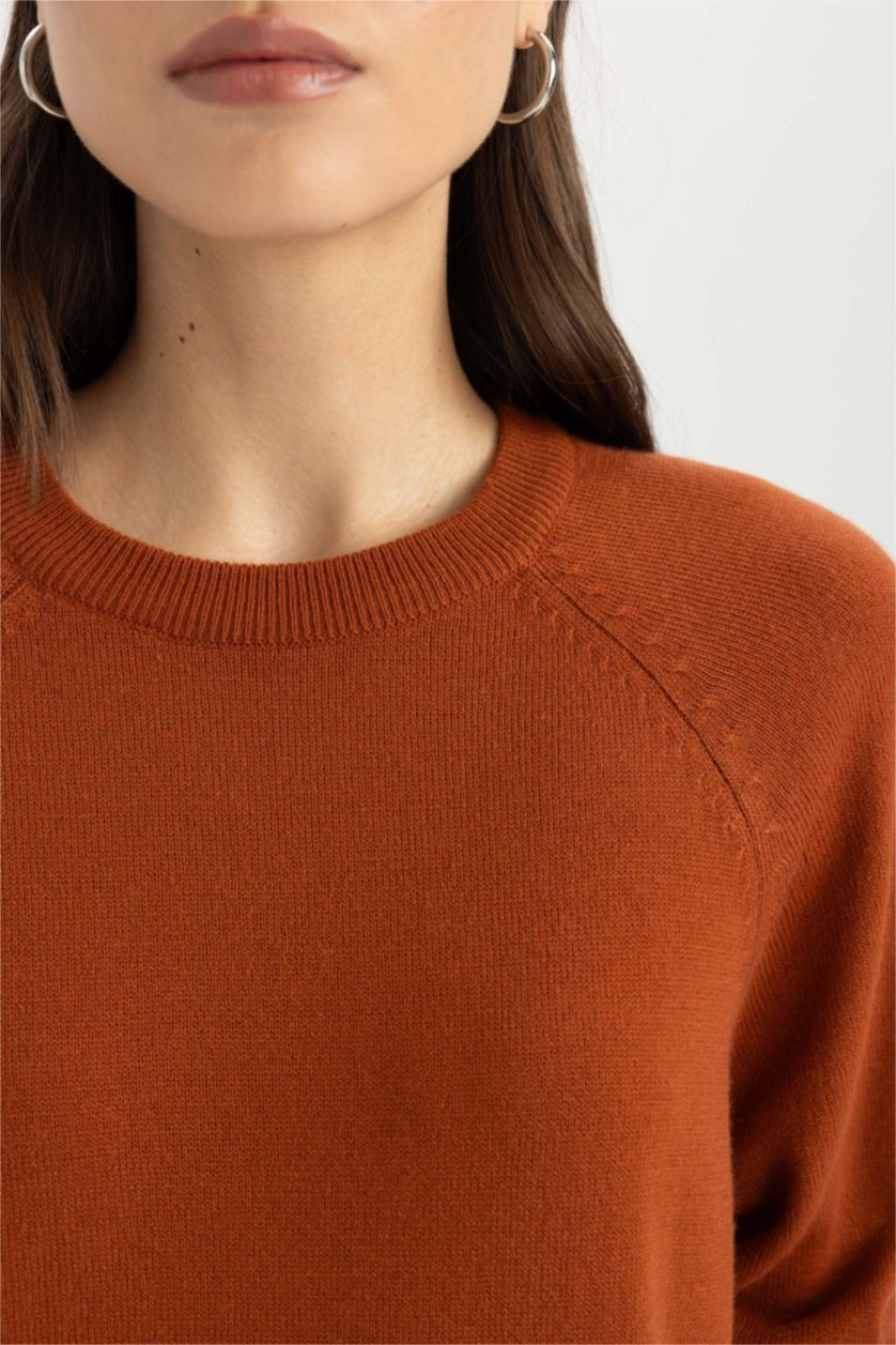 WOMAN Dark Orange Regular Fit Crew Neck Pullover