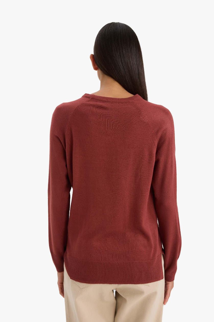 Woman Brown Relax Fit Crew Neck Basic Knit Pullover