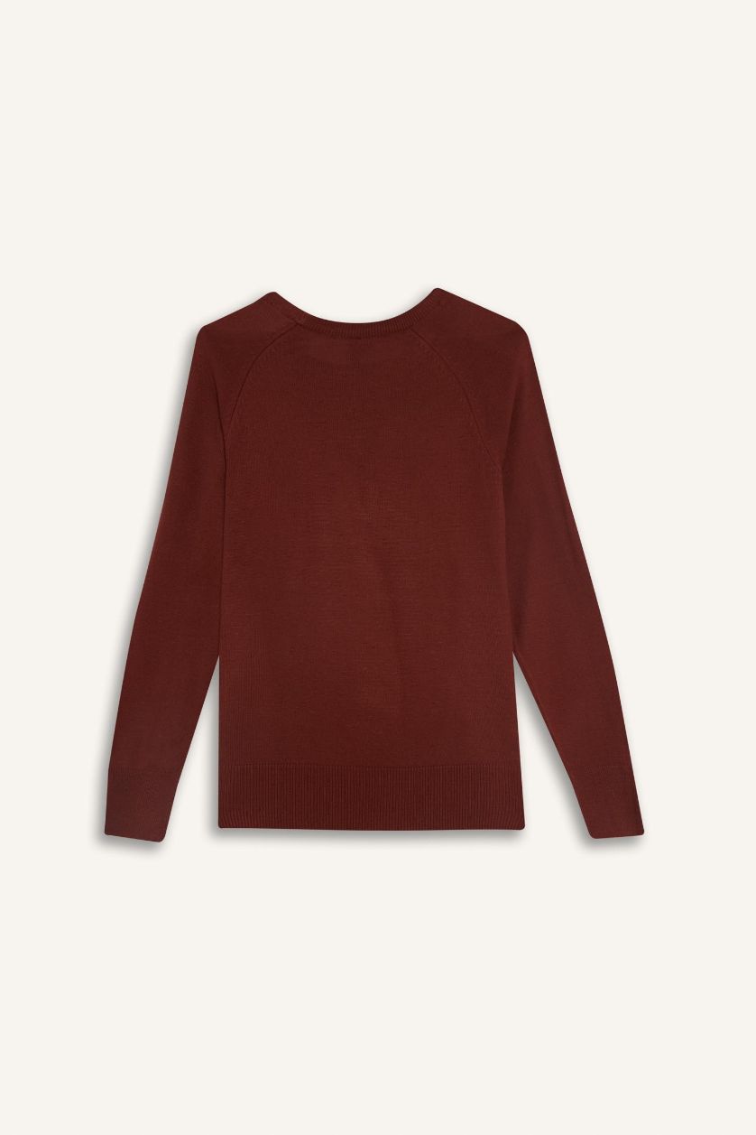 Woman Brown Relax Fit Crew Neck Basic Knit Pullover
