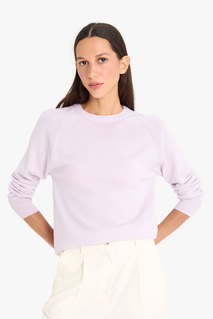 WOMAN Lilac Relax Fit Crew Neck Basic Knit Pullover