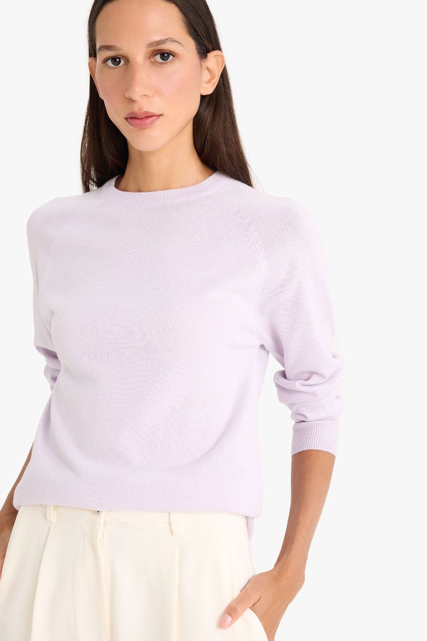 WOMAN Lilac Relax Fit Crew Neck Basic Knit Pullover