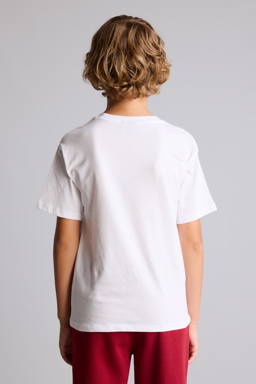 Young Boys - Teen Boys White Regular Fit Short Sleeve T-Shirt