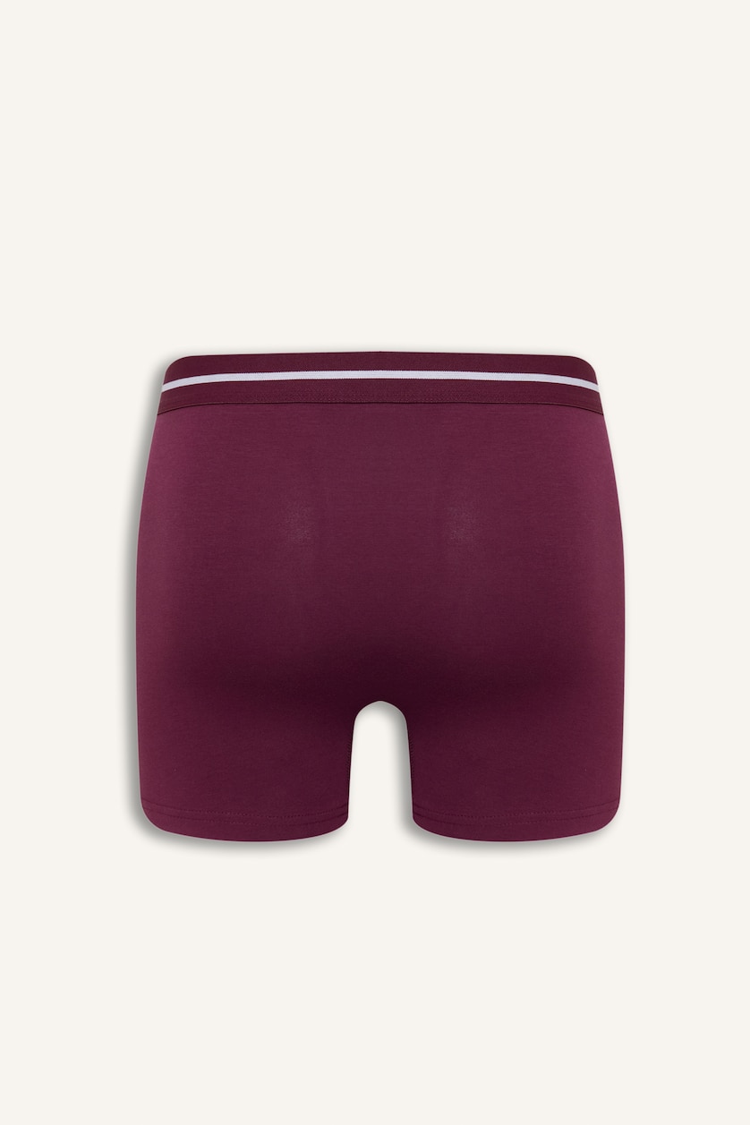 Erkek Mor Regular Fıt 2'li Boxer