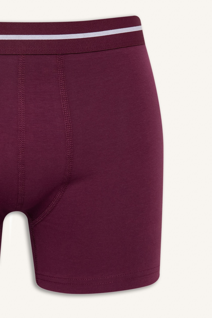 Erkek Mor Regular Fıt 2'li Boxer
