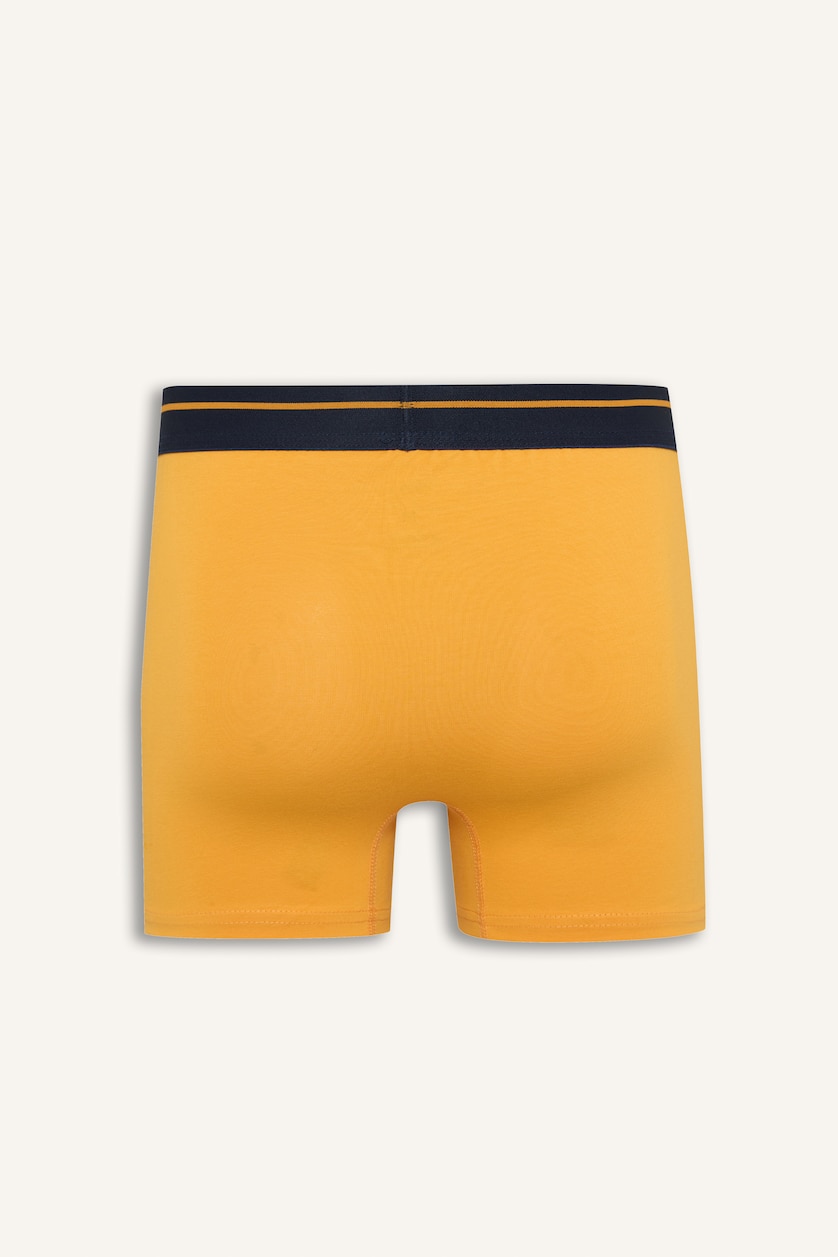 Erkek Sarı Regular Fıt Ayıcıklı 2'li Boxer