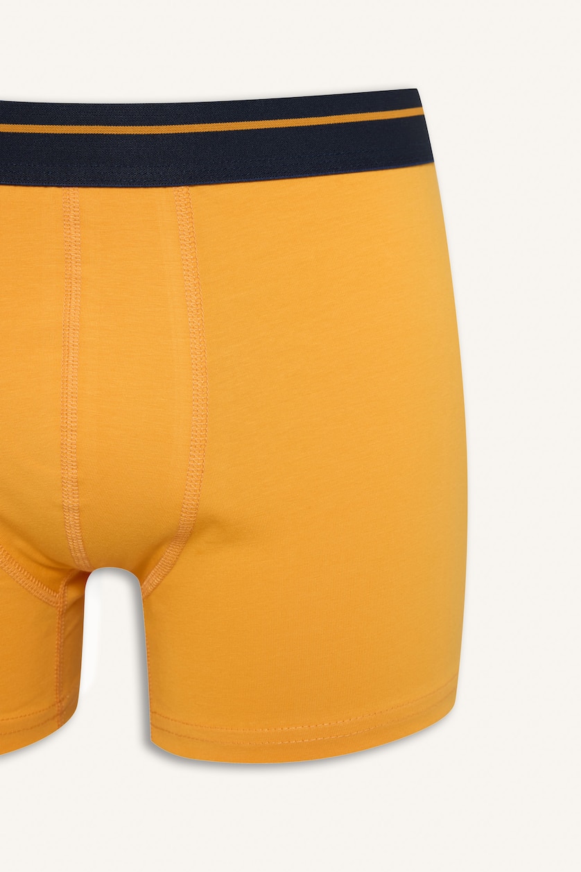 Erkek Sarı Regular Fıt Ayıcıklı 2'li Boxer