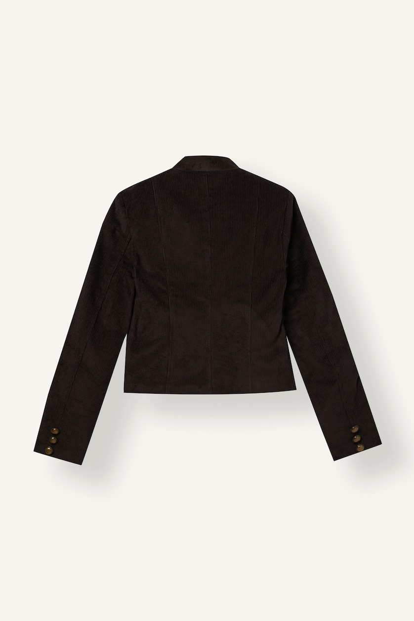 Women Brown Slim Fit Velvet Jacket