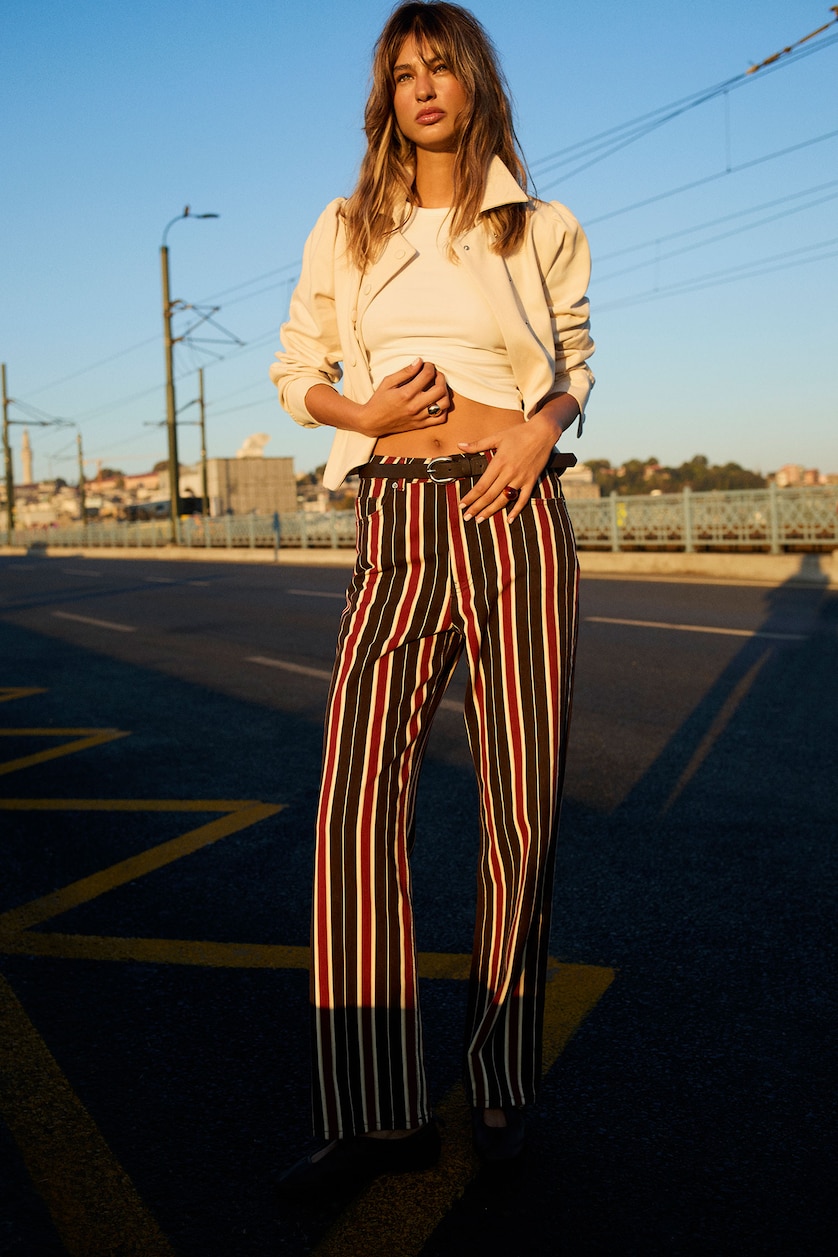 Women Brown Normal Waist Straight Fit Trousers