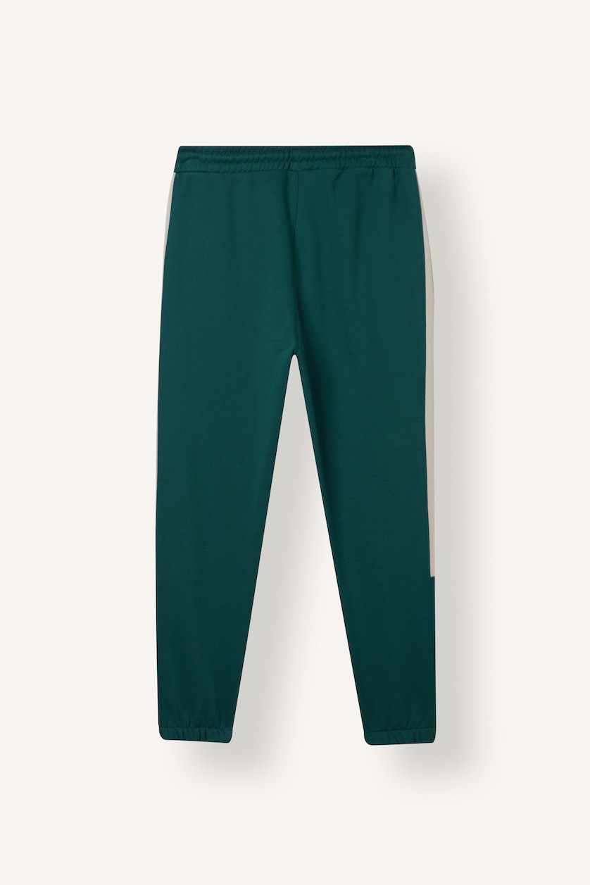 Men Dark Green Standard Fit Thick Sweatshirt Fabric Jogger