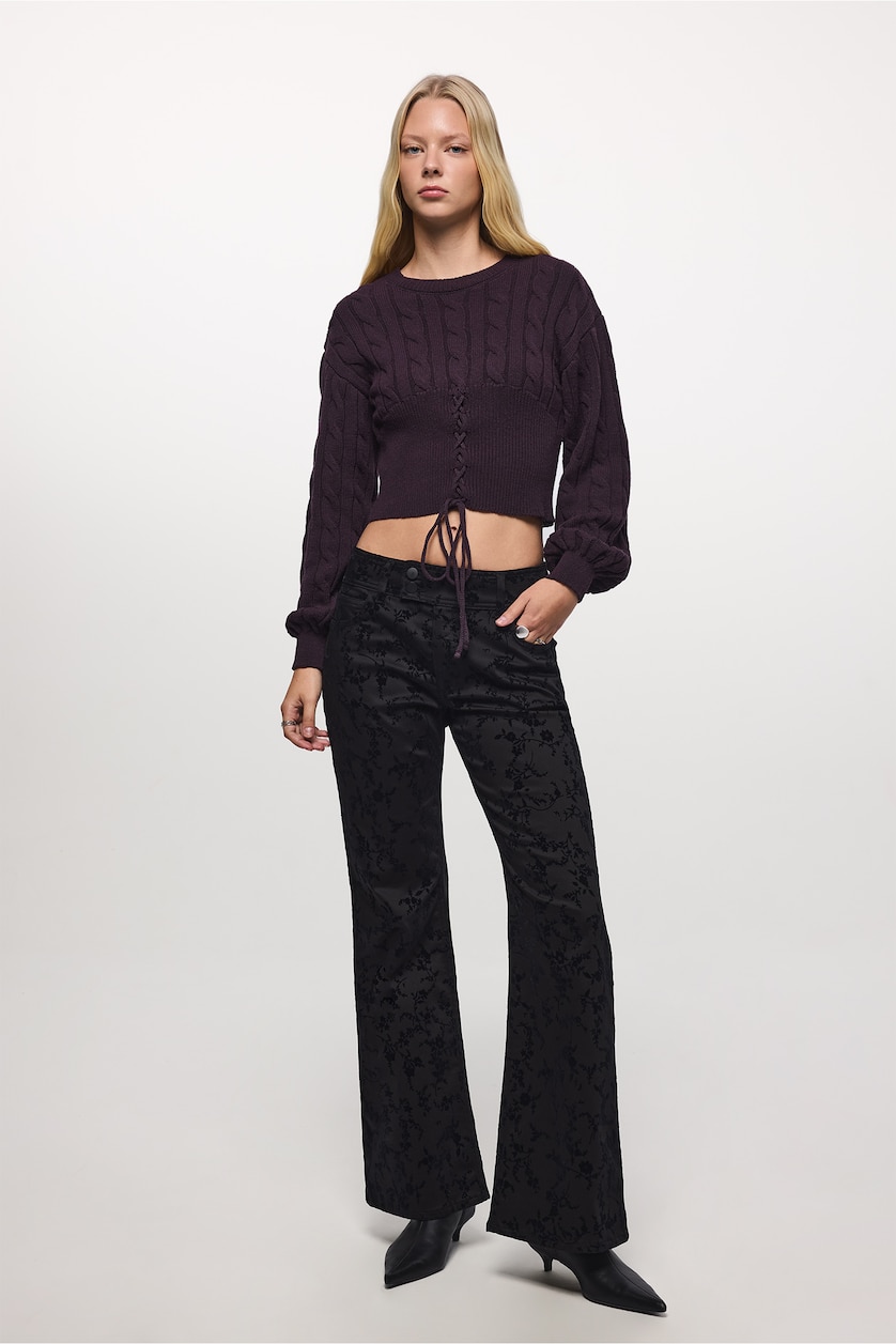 Woman Purple Regular Fit Pullover