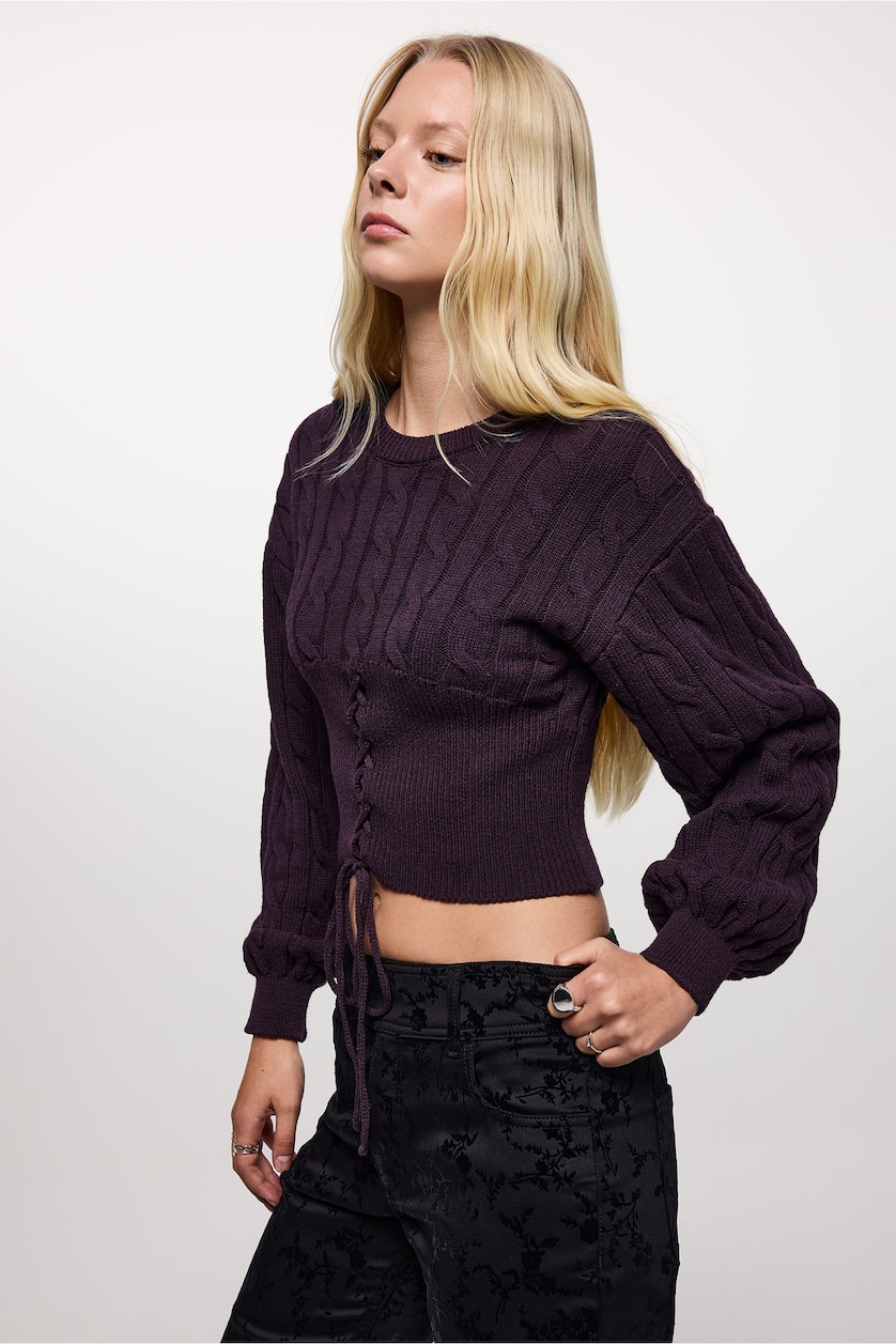 Woman Purple Regular Fit Pullover