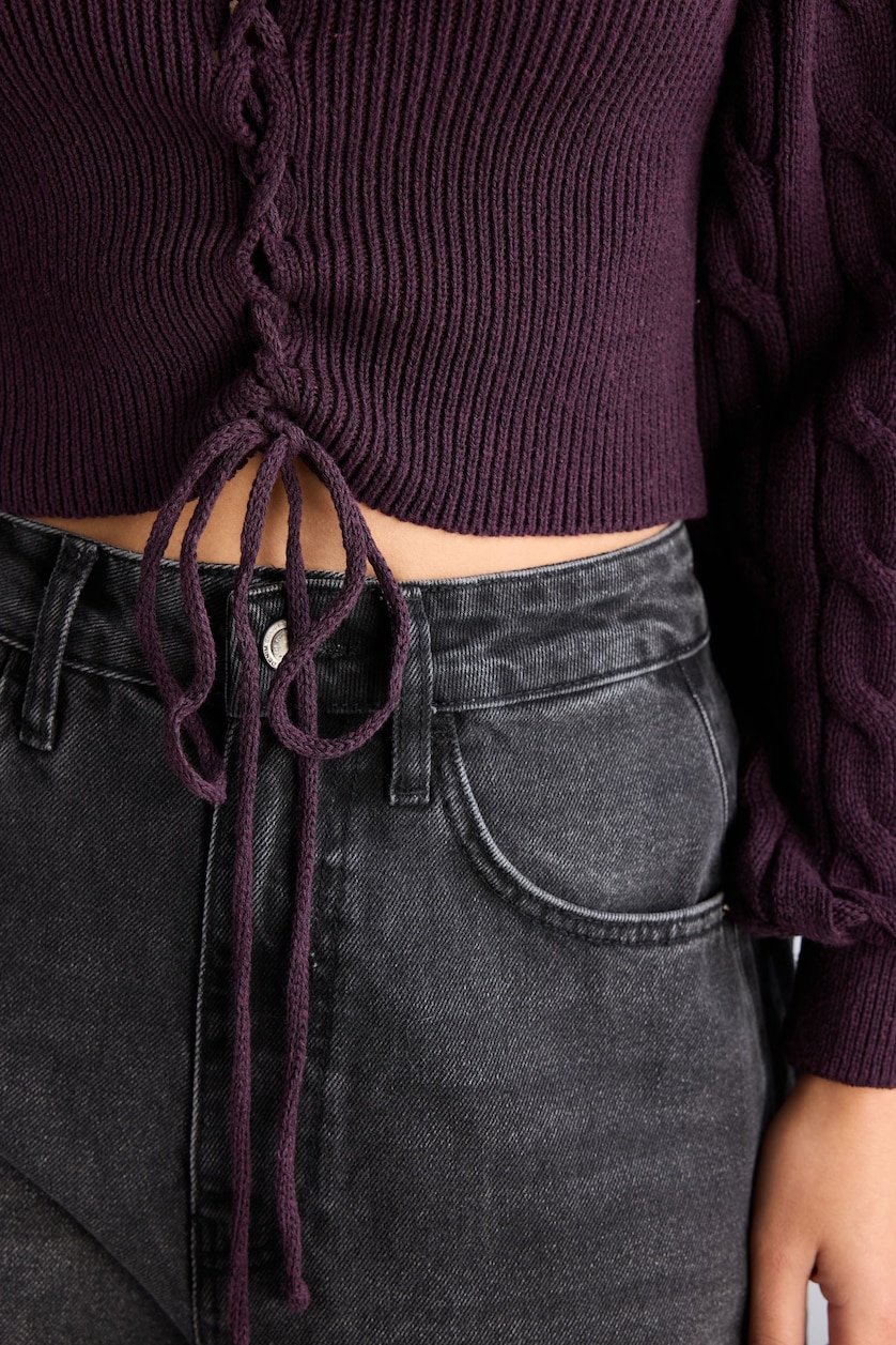 Women Purple Regular Fit Pullover