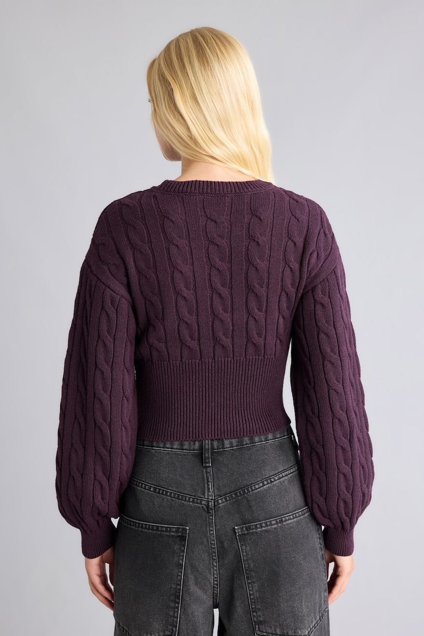 Women Purple Regular Fit Pullover