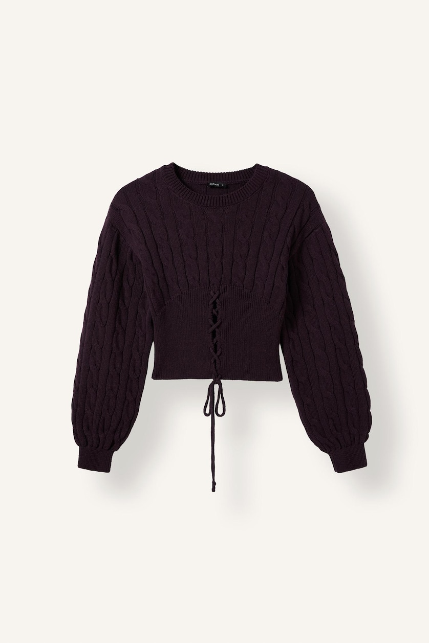 Woman Purple Regular Fit Pullover
