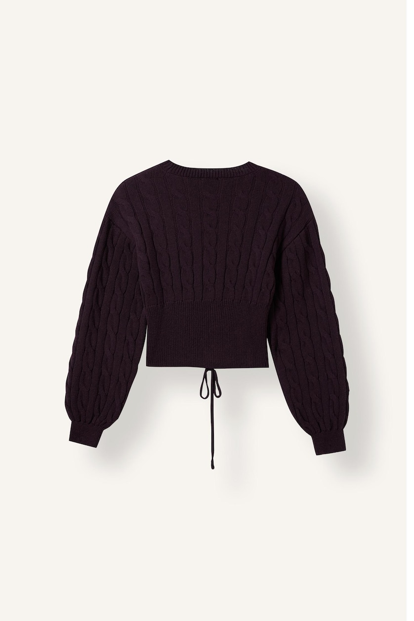 Women Purple Regular Fit Pullover