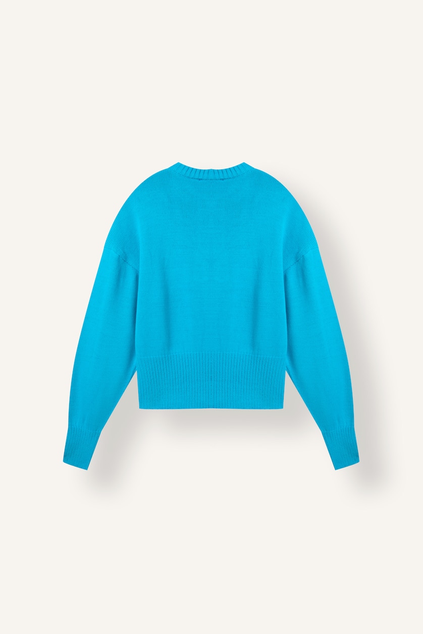 Women Blue Regular Fit Pullover