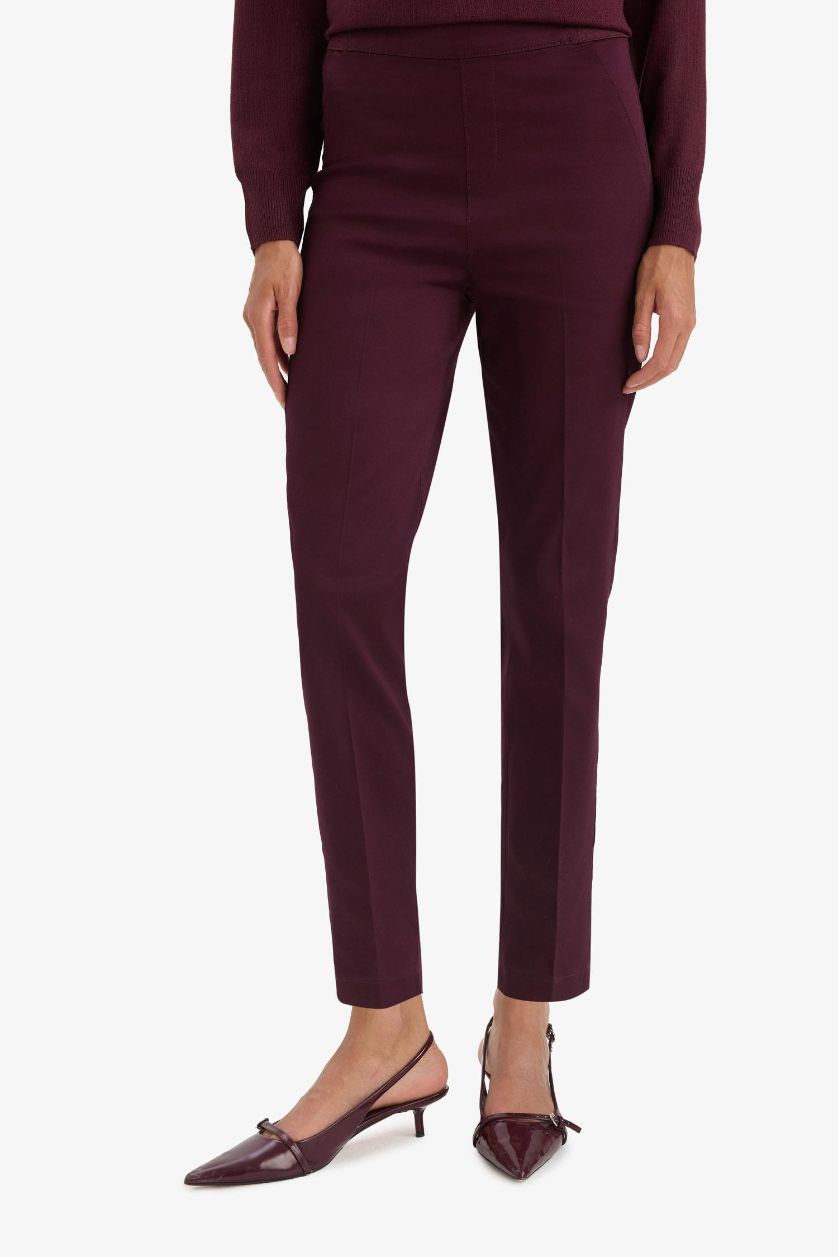 Woman Bordeaux Cigarette Fit Regular Hem Satin Trousers