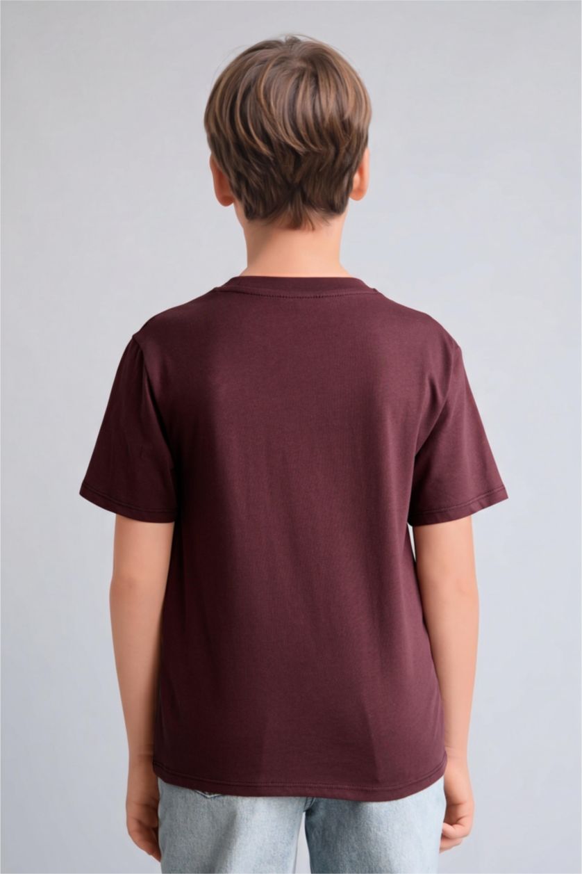 Young Boys - Teen Boys Dark Bordeaux Regular Fit Short Sleeve T-Shirt