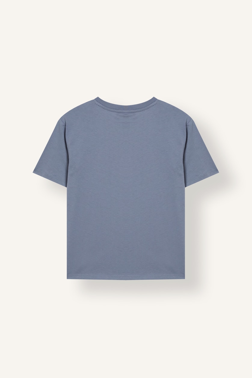 Boys & Teens Grey Regular Fit Short Sleeve T-Shirt