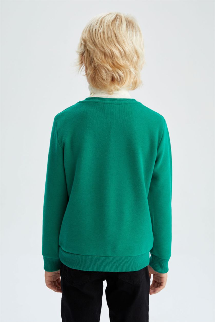 BOYS & TEENS Green Regular Fit Crew Neck Sweatshirt