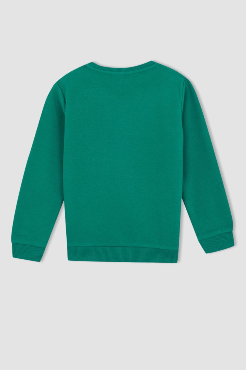 BOYS & TEENS Green Regular Fit Crew Neck Sweatshirt