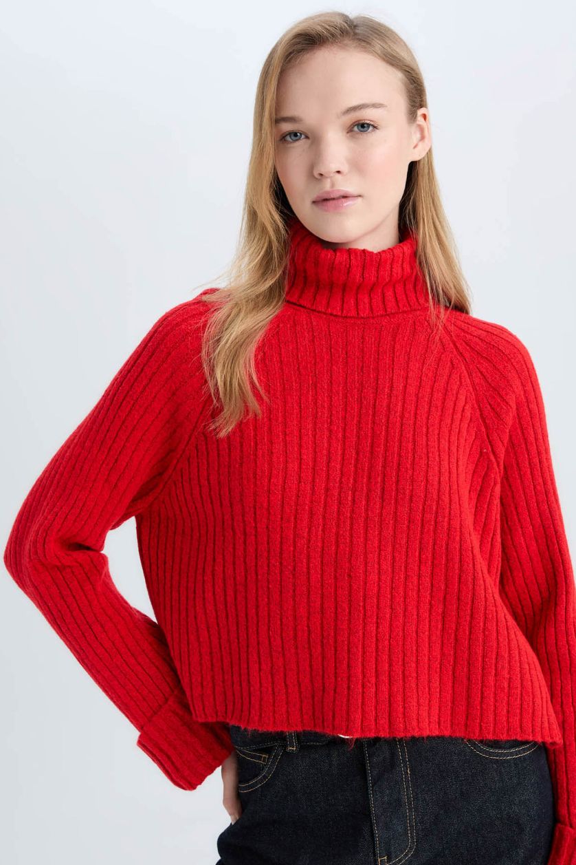 FEMME Rouge Pull tricot Oversize à col roulé Coupe ample