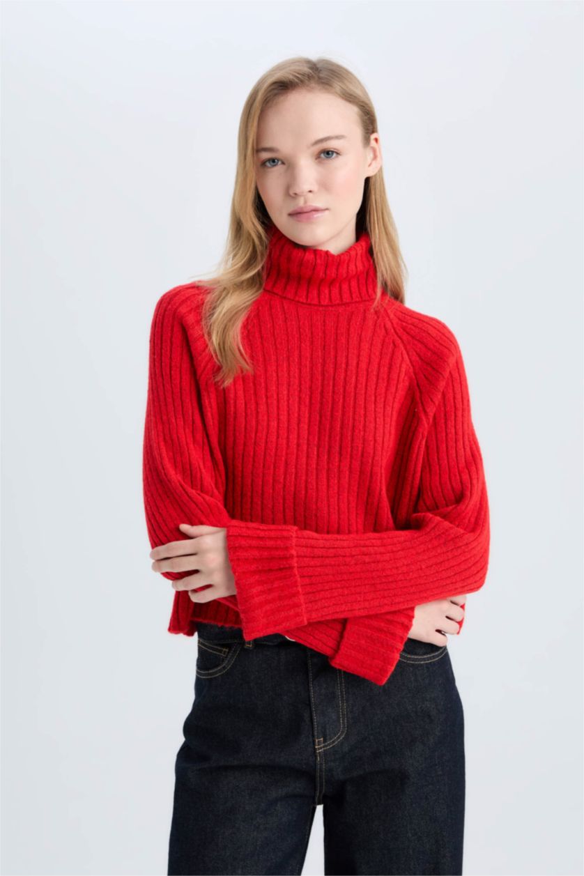 FEMME Rouge Pull tricot Oversize à col roulé Coupe ample