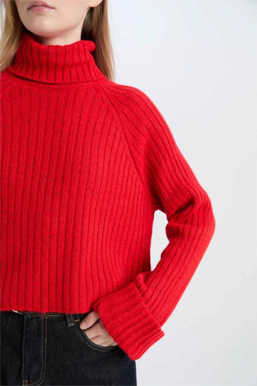 FEMME Rouge Pull tricot Oversize à col roulé Coupe ample
