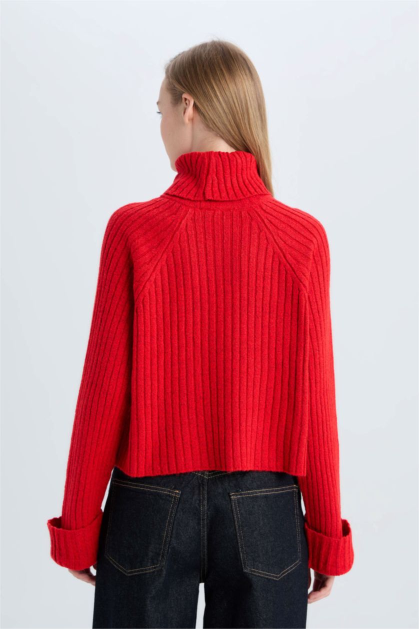 FEMME Rouge Pull tricot Oversize à col roulé Coupe ample