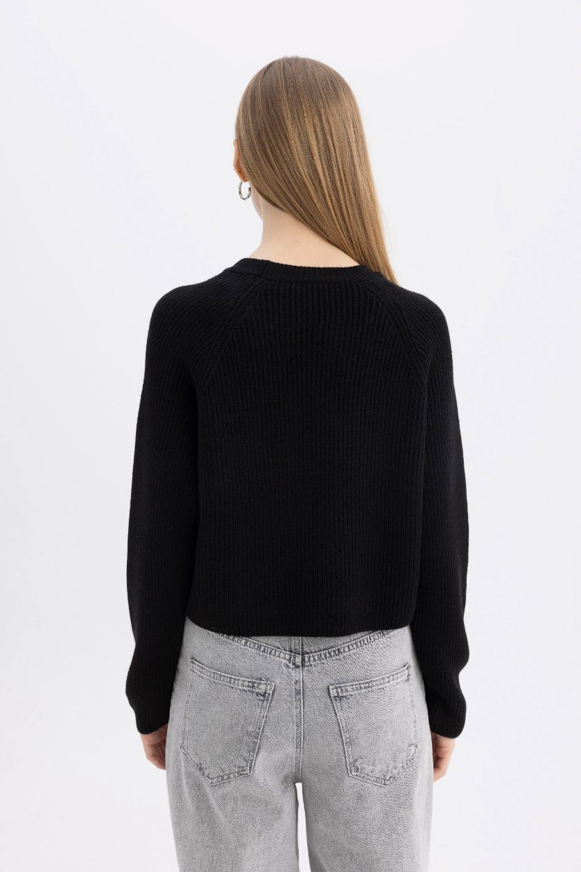 Kadın Siyah Regular Fit Bisiklet Yaka Basic Düz Triko Kazak