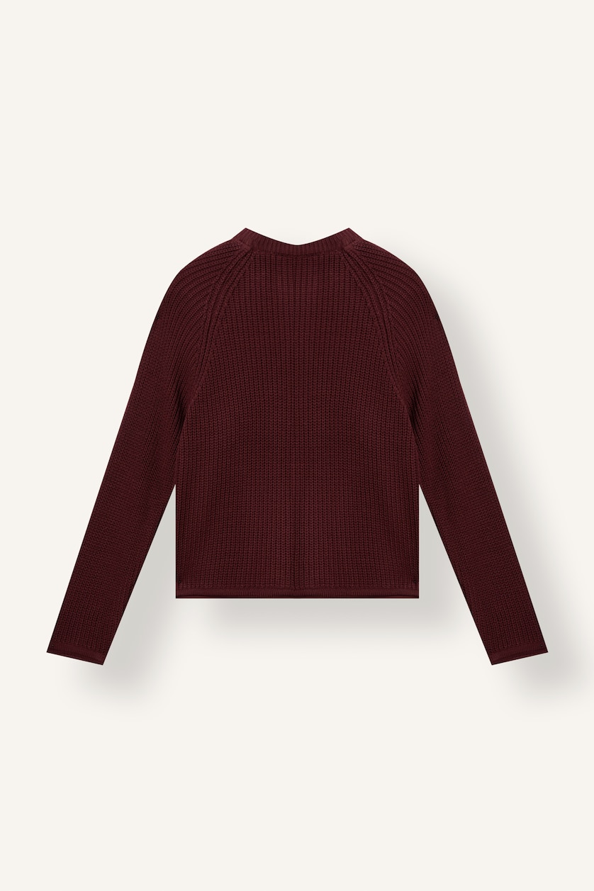 نساء خمري Regular Fit Basic Crew Neck Long Sleeve Knit Pullover