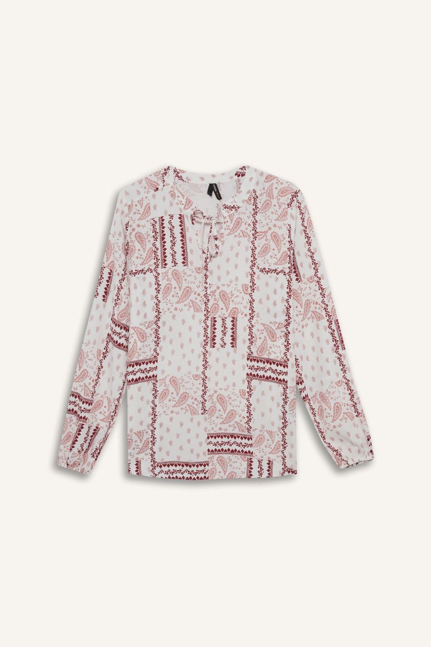 Woman Pink Regular Fit Crew Neck Printed Long Sleeve Blouse