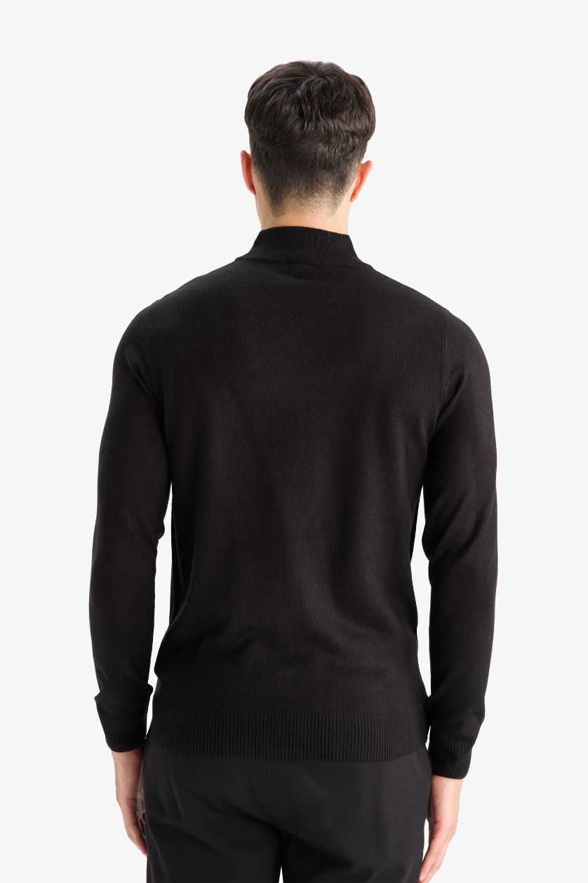 Мужчины Черный Трикотажный свитер Slim Fit, облегающий, с высоким воротником, однотонный