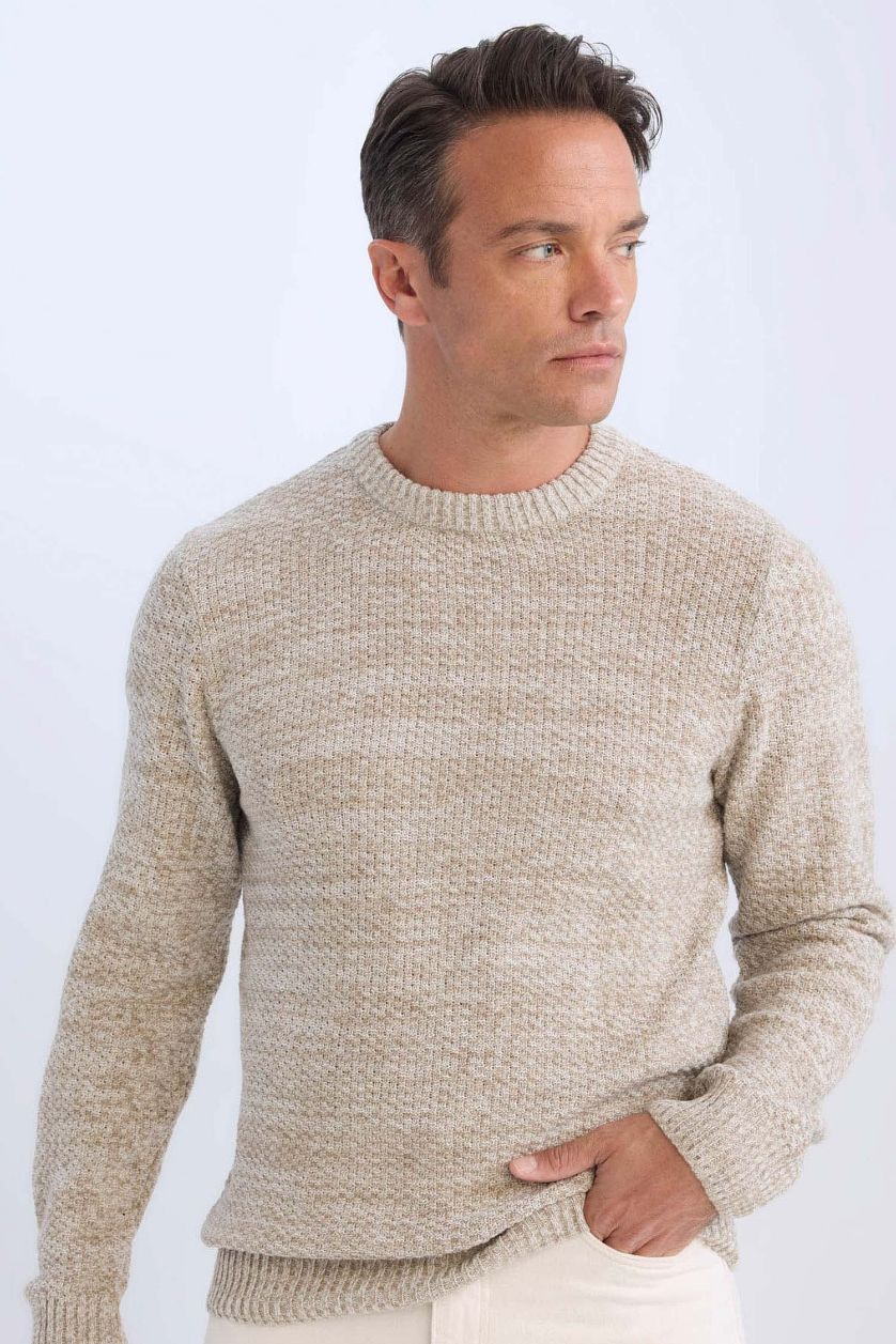 HOMME Beige Pull Tricot Coupe standard à Col rond