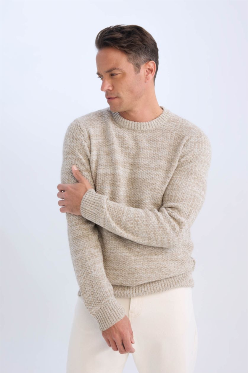 HOMME Beige Pull Tricot Coupe standard à Col rond