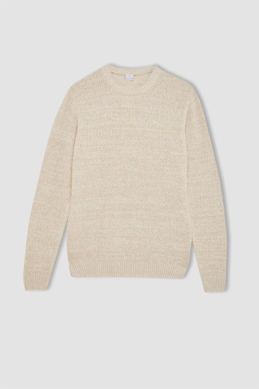 HOMME Beige Pull Tricot Coupe standard à Col rond