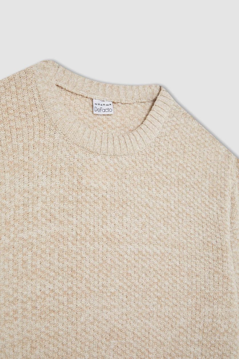 HOMME Beige Pull Tricot Coupe standard à Col rond