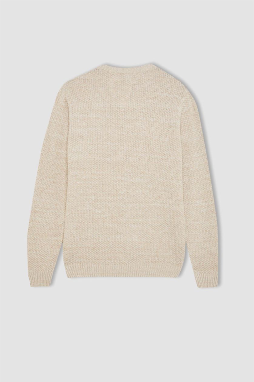 HOMME Beige Pull Tricot Coupe standard à Col rond