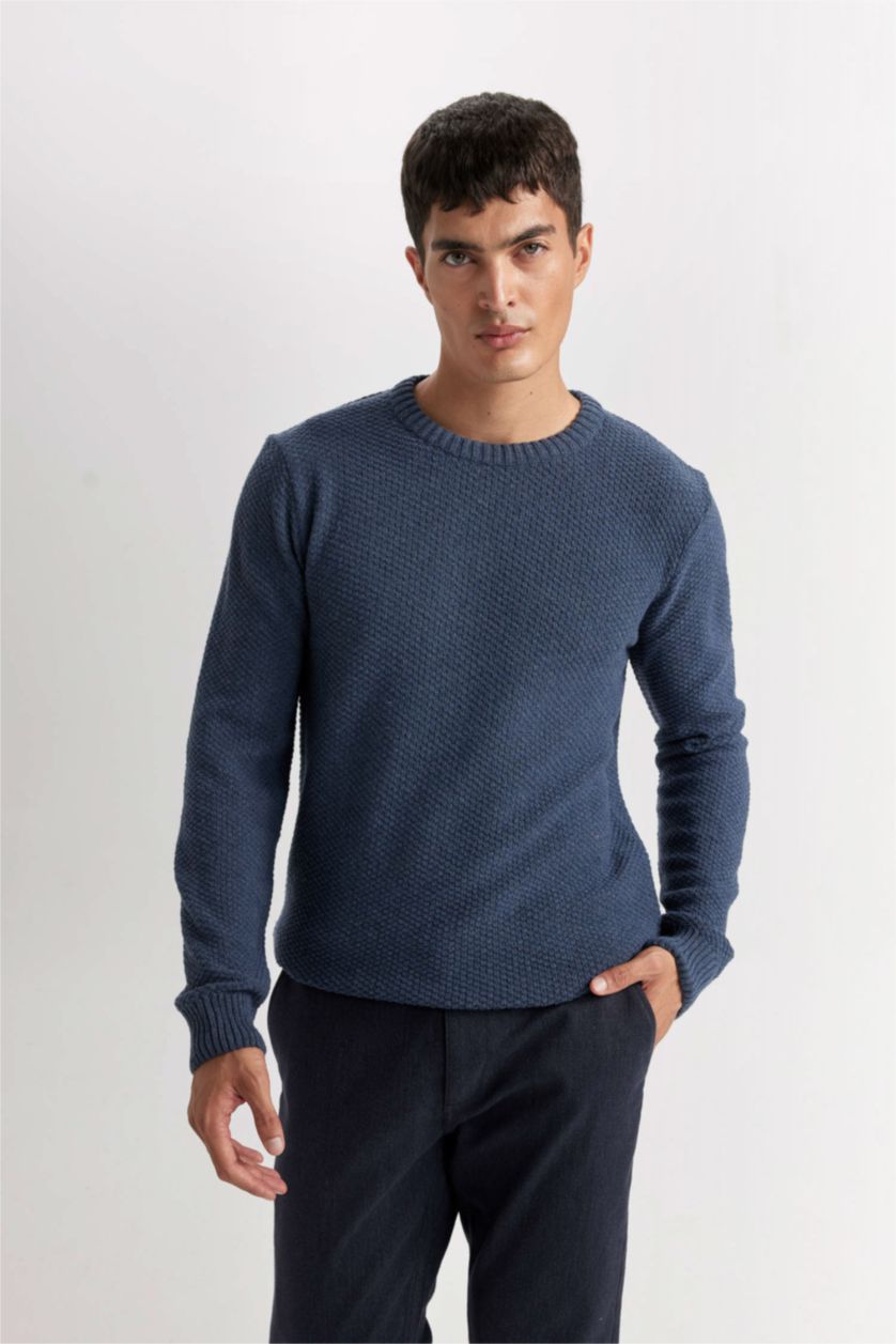 Men NAVY Standard Fit Knitwear Pullover