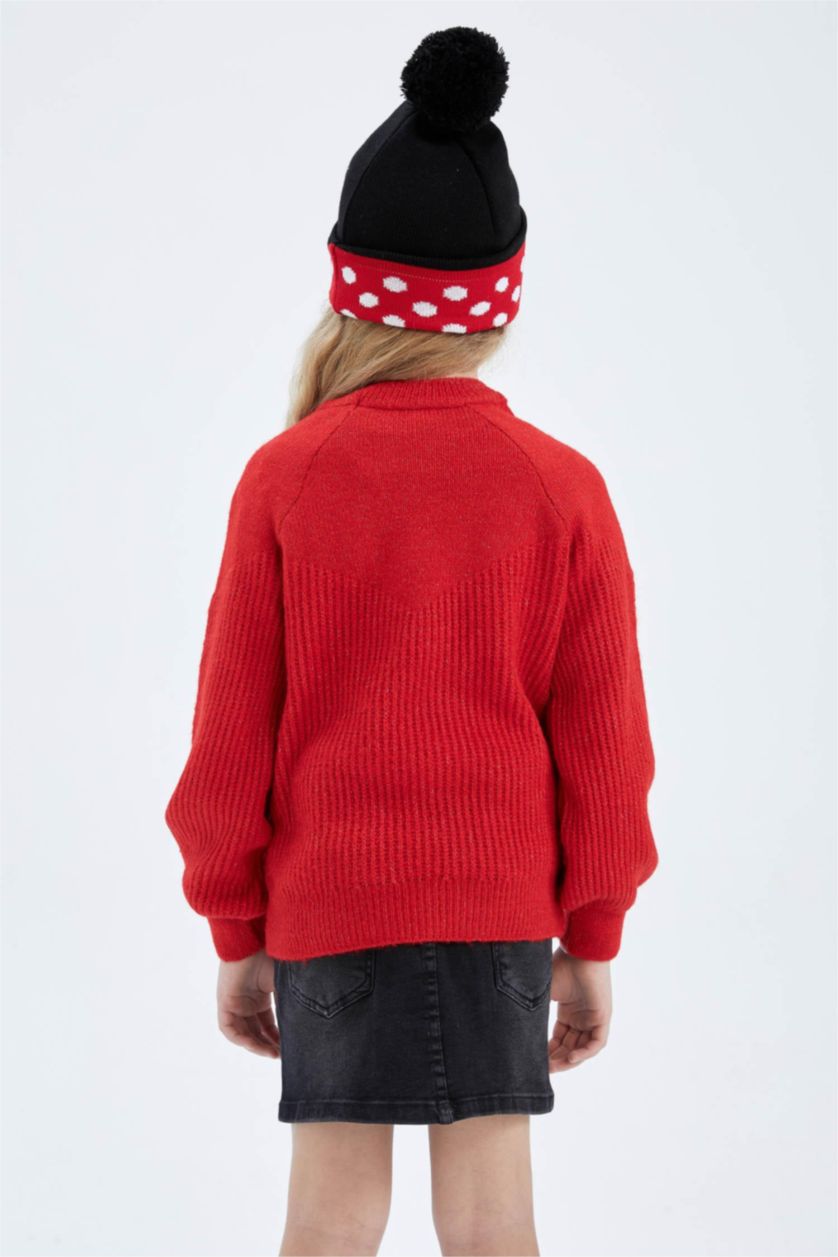 GIRLS & TEENS Red Girl Regular Fit Crew Neck Knitwear Sweater