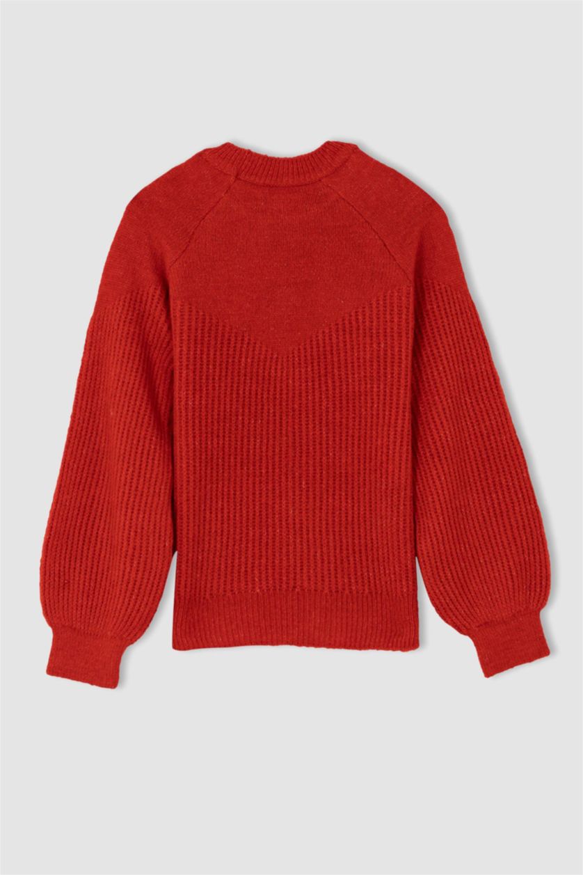 GIRLS & TEENS Red Girl Regular Fit Crew Neck Knitwear Sweater
