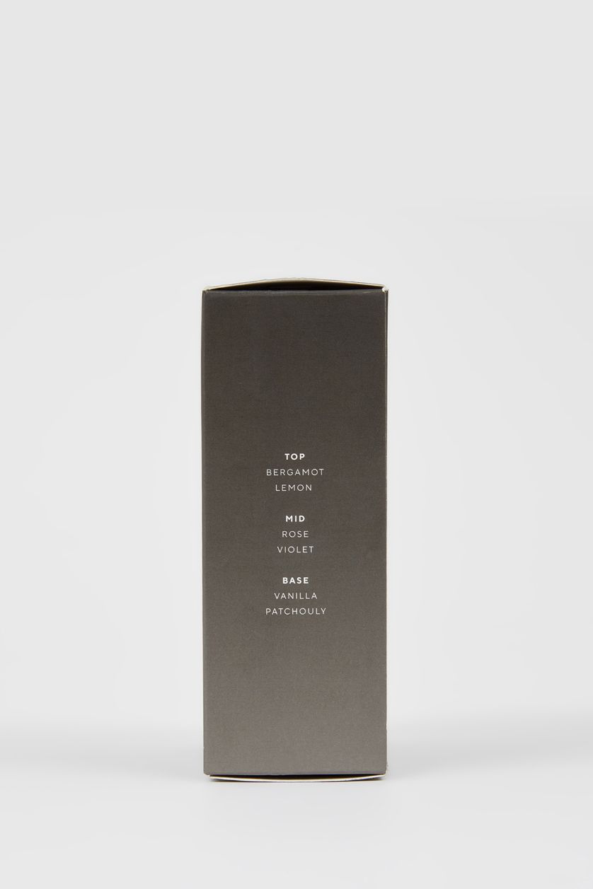 Erkek Açık Gri Iron Grey Erkek 100 ml Parfüm